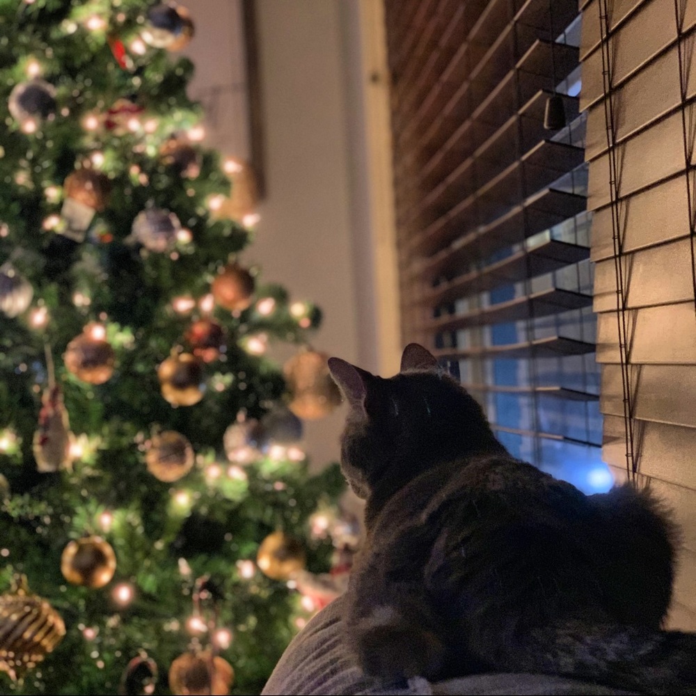 Meet your Posher, Bertha